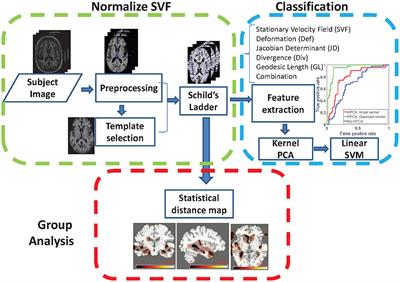 Detection of Conversion from Mild Cognitive Impairment to Alzheimer's Disease Using Longitudinal Brain MRI